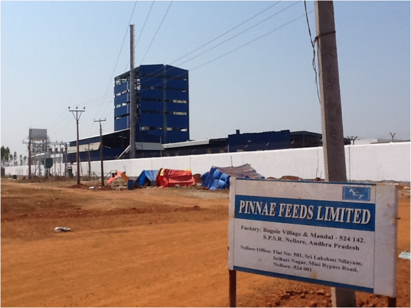 BMR Feed Plant Layout